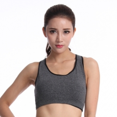 Danlang Seamless Activewear Women's Sports Bras Quick Dry Breathable Fitness Bra Crossback Bra Lightweight Sportwear for Women
